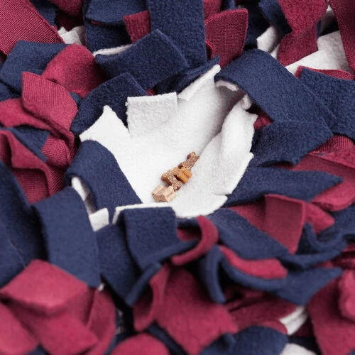 Trixie Schnüffelteppich 11 Trixie Schnüffelteppich – Bild 9