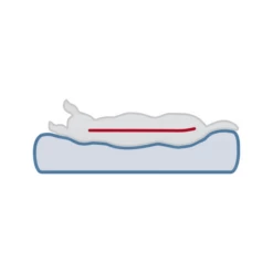 Trixie Vital Orthopädische Matratze Lonni -Trixie Verkäufe 2024 trixie vital ligmat lonni 217058 0500 none