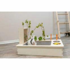 Trixie Futterstation Für Nager -Trixie Verkäufe 2024 trixie voederstation voor knaagdieren 207428 0500 none