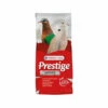 Versele-Laga Prestige Taube 1 Versele-Laga Prestige Taube -Trixie Verkäufe 2024 versele laga prestige tortelduif 121414 0500 none