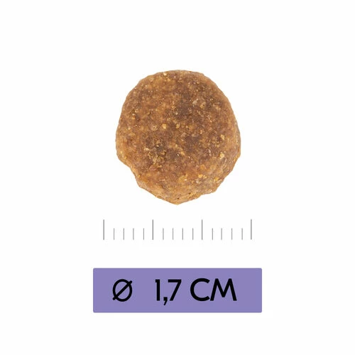 Vetality Adult Maxi - Hundefutter 6 Vetality Adult Maxi - Hundefutter – Bild 4