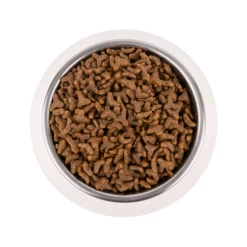 Vetality Gastrointestinal - Katzenfutter -Trixie Verkäufe 2024 vetality gastrointestinal kattenvoer 217720 0500 none