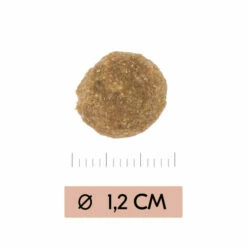 Vetality Gastrointestinal Low Fat - Hundefutter -Trixie Verkäufe 2024 vetality gastrointestinal low fat hondenvoer 195467 0500 none