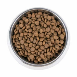 Vetality Hypoallergenic - Hundefutter -Trixie Verkäufe 2024 vetality hypoallergenic hondenvoer 195278 0500 none