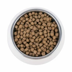 Vetality Hypoallergenic - Katzenfutter -Trixie Verkäufe 2024 vetality hypoallergenic kattenvoer 195266 0500 none