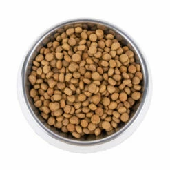 Vetality Metabolic & Mobility - Hundefutter -Trixie Verkäufe 2024 vetality metabolic mobility hondenvoer 195275 0500 none