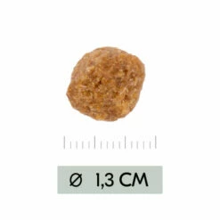 Vetality Metabolic & Mobility - Hundefutter -Trixie Verkäufe 2024 vetality metabolic mobility hondenvoer 195470 0500 none