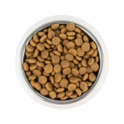 Vetality Puppy Maxi - Hundefutter 8 Vetality Puppy Maxi - Hundefutter -Trixie Verkäufe 2024 vetality puppy maxi hondenvoer 213665 0500 none