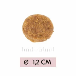 Vetality Puppy Maxi - Hundefutter 9 Vetality Puppy Maxi - Hundefutter -Trixie Verkäufe 2024 vetality puppy maxi hondenvoer 213668 0500 none