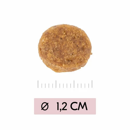 Vetality Puppy Maxi - Hundefutter 6 Vetality Puppy Maxi - Hundefutter – Bild 4