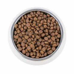 Vetality Renal - Katzenfutter 9 Vetality Renal - Katzenfutter -Trixie Verkäufe 2024 vetality renal kattenvoer 195263 0500 none