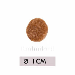 Vetality Renal - Katzenfutter 8 Vetality Renal - Katzenfutter -Trixie Verkäufe 2024 vetality renal kattenvoer 195458 0500 none