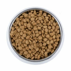 Vetality Skin Support - Hundefutter -Trixie Verkäufe 2024 vetality skin support hondenvoer 195221 0500 none