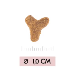 Vetality Skin Support - Katzenfutter -Trixie Verkäufe 2024 vetality skin support kattenvoer 217723 0500 none