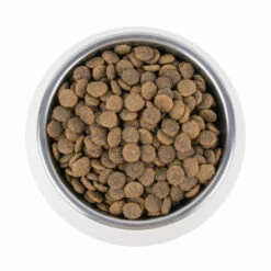 Vetality Urinary - Katzenfutter -Trixie Verkäufe 2024 vetality urinary kattenvoer 195269 0500 none