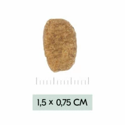 Vetality Weight Management - Hundefutter -Trixie Verkäufe 2024 vetality weight management hondenvoer 195455 0500 none