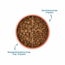 WOW! Hundefutter Senior 6 WOW! Hundefutter Senior -Trixie Verkäufe 2024 wow droogvoer senior eend met munt 208937 0500 none