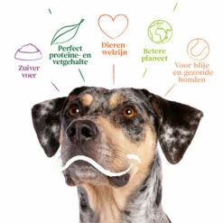 Yarrah - Bio Trockenfutter Vega Getreidefrei 9 Yarrah - Bio Trockenfutter Vega Getreidefrei -Trixie Verkäufe 2024 yarrah bio droogvoer hond vega graanvrij 201212 0500 none