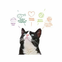 Yarrah Bio-Katzenfutter Grain-Free Für Sterilisierte Katzen 9 Yarrah Bio-Katzenfutter Grain-Free Für Sterilisierte Katzen -Trixie Verkäufe 2024 yarrah droogvoer gesteriliseerde kat graanvrij bio 201158 0500 none