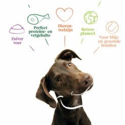 Yarrah - Getreidefreies Trockenfutter Bio -Trixie Verkäufe 2024 yarrah droogvoer hond graanvrij bio 201170 0500 none