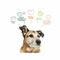 Yarrah - Trockenfutter Senior Mit Huhn, Fisch Und Kräutern Bio 9 Yarrah - Trockenfutter Senior Mit Huhn, Fisch Und Kräutern Bio -Trixie Verkäufe 2024 yarrah droogvoer hond senior bio 201146 0500 none