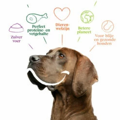 Yarrah - Trockenfutter Sensitiv Mit Huhn Und Reis Bio -Trixie Verkäufe 2024 yarrah droogvoer hond sensitive bio 199148 0500 none