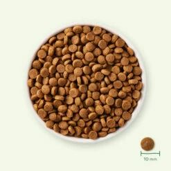 Yarrah - Trockenfutter Für Welpen Mit Huhn Bio 7 Yarrah - Trockenfutter Für Welpen Mit Huhn Bio -Trixie Verkäufe 2024 yarrah droogvoer puppy bio 199694 0500 none