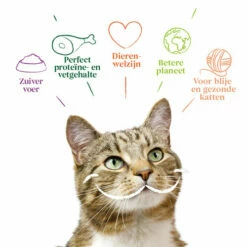 Yarrah - Katzenfutter Paté Rind Mit Chicorée Bio 11 Yarrah - Katzenfutter Paté Rind Mit Chicorée Bio -Trixie Verkäufe 2024 yarrah pat kat kuipje met rund bio 201059 0500 none