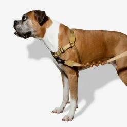 Zee.Dog Soft Walk Harness -Trixie Verkäufe 2024 zeedog soft walk harness 200678 0500 none