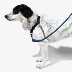 Zee.Dog Soft Walk Harness -Trixie Verkäufe 2024 zeedog soft walk harness 200684 0500 none