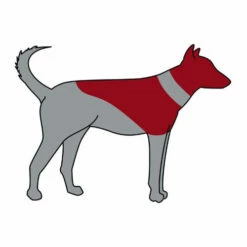 ZenPet Pro Collar -Trixie Verkäufe 2024 zenpet pro collar 193865 0500 none