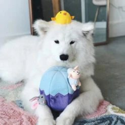 ZippyPaws Zippy Burrow - Easter Egg And Friends 5 ZippyPaws Zippy Burrow - Easter Egg And Friends -Trixie Verkäufe 2024 zippypaws zippy burrow easter egg and friends 220834 0500 none