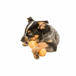 Zogoflex Qwizl 9 Zogoflex Qwizl -Trixie Verkäufe 2024 zogoflex qwizl 136852 0500 none